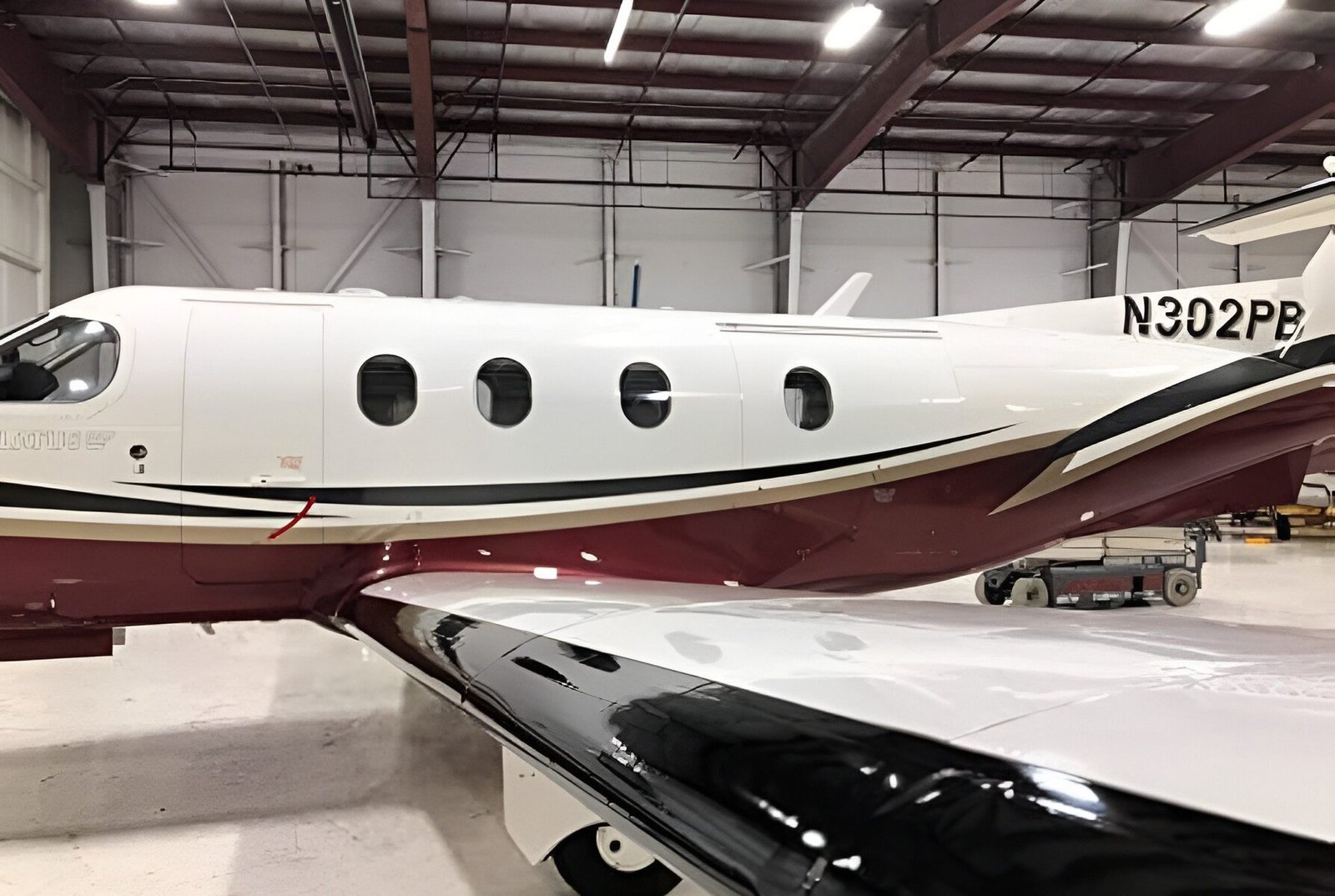 De-Ice Boot Strip & Reseal